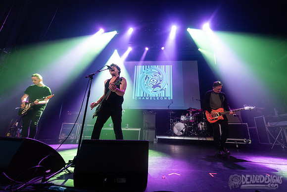 The Chameleons