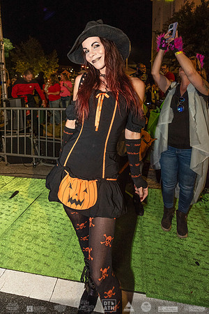 Wild Rumpus XV