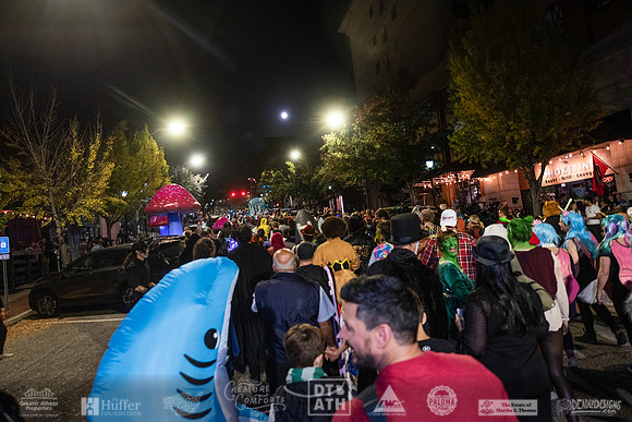 Wild Rumpus XV