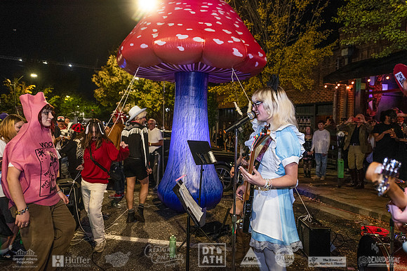 Wild Rumpus XV