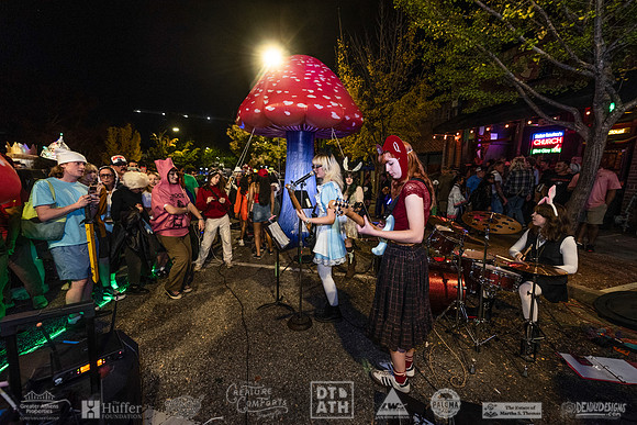 Wild Rumpus XV