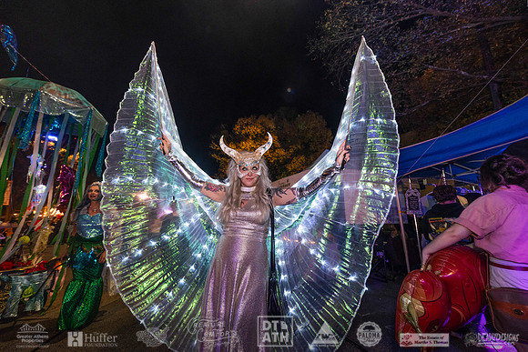 Wild Rumpus XV