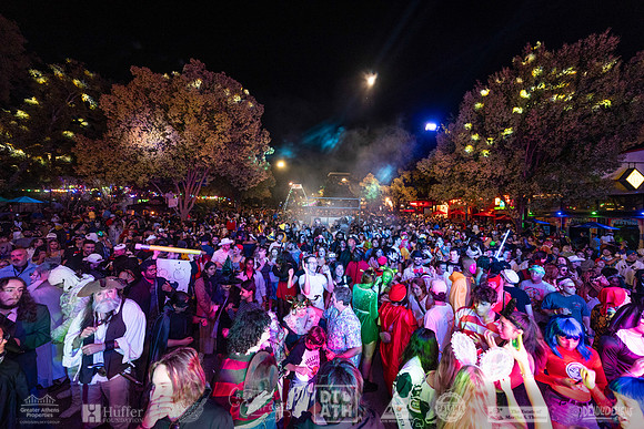 Wild Rumpus XV