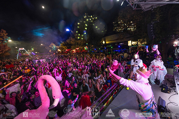 Wild Rumpus XV