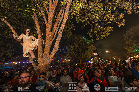 Wild Rumpus XV