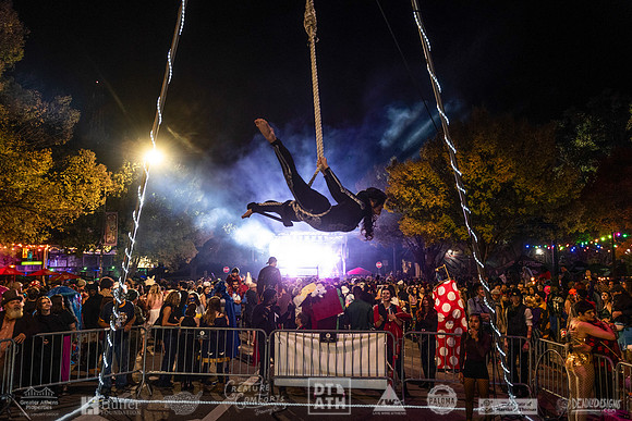 Wild Rumpus XV