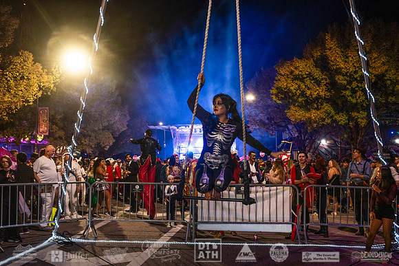 Wild Rumpus XV