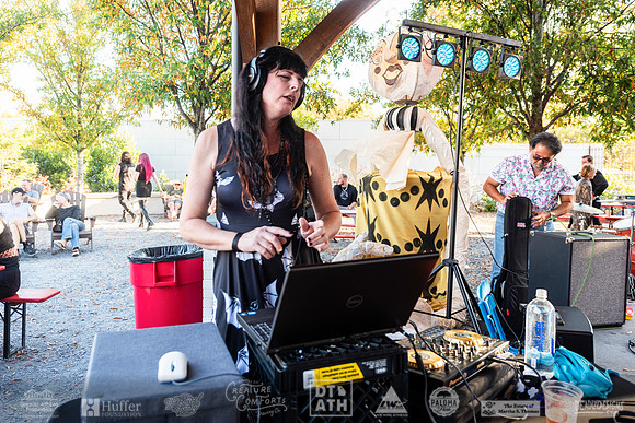 Wild Rumpus XV