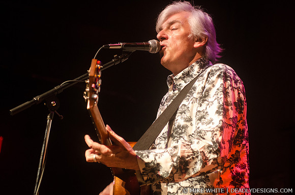 Robyn Hitchcock