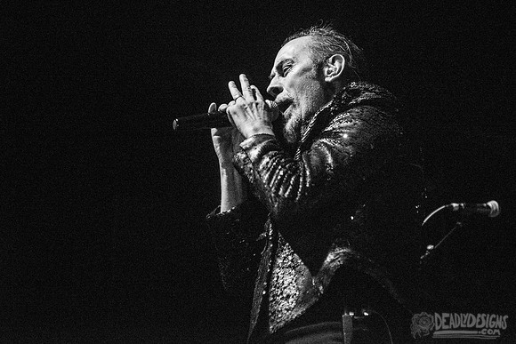 Peter Murphy ft. David J