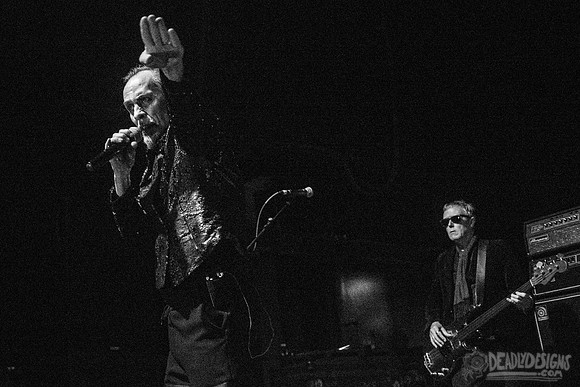 Peter Murphy ft. David J