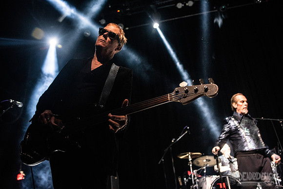 Peter Murphy ft. David J