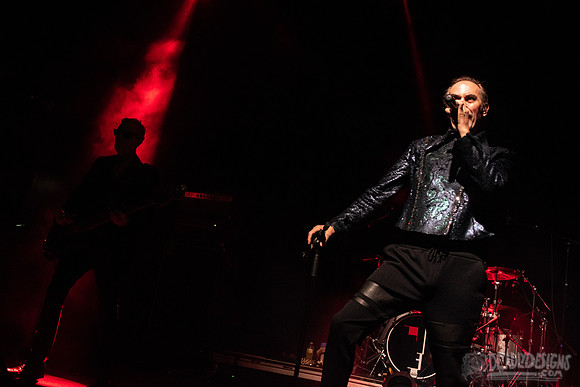 Peter Murphy ft. David J