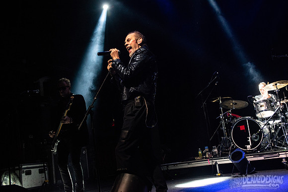 Peter Murphy ft. David J