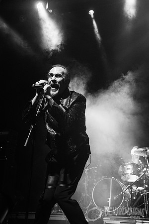 Peter Murphy ft. David J