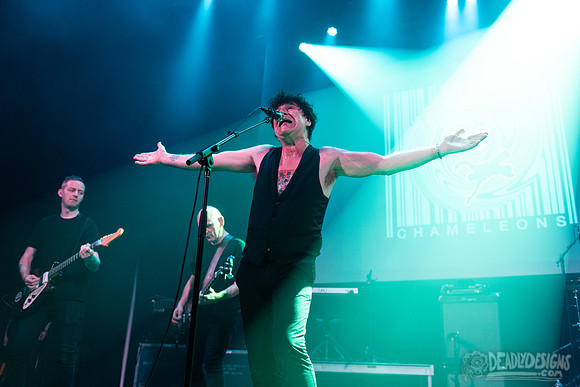 The Chameleons