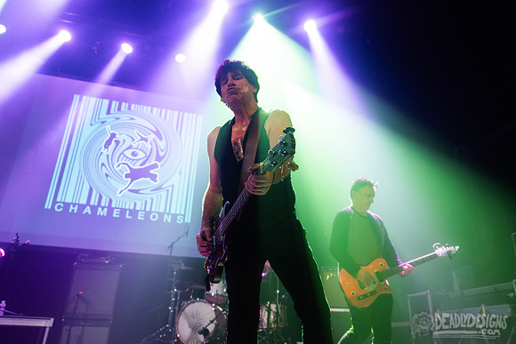 The Chameleons