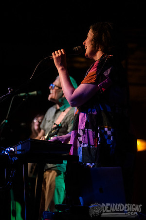 The New Pornographers