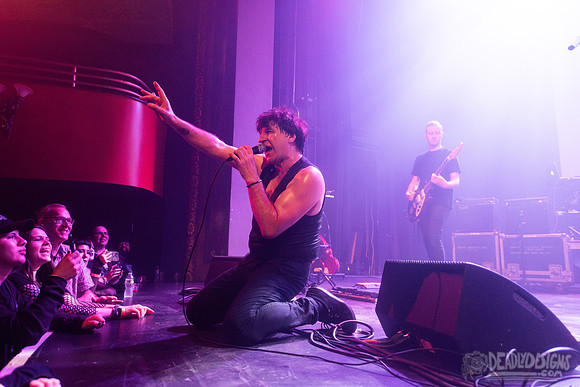 The Chameleons