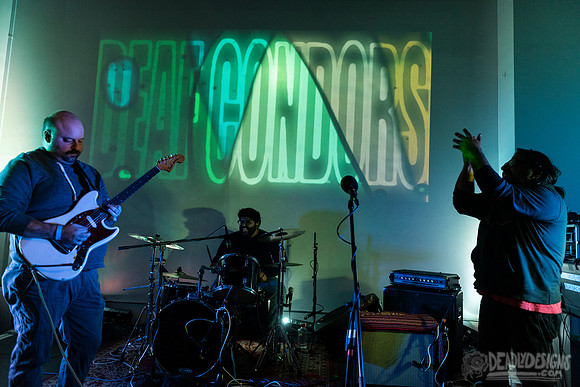 Deaf Condors