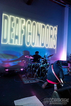 Deaf Condors
