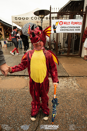 The Rumpus Rally
