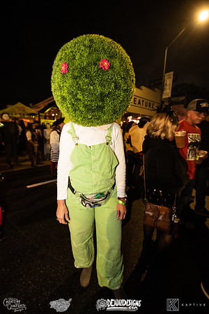 The Rumpus Rally