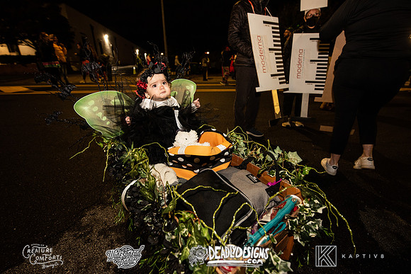 The Rumpus Rally