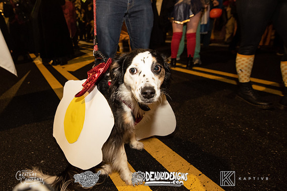 The Rumpus Rally