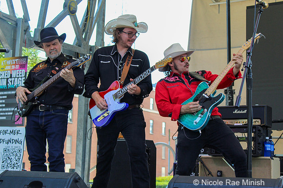 Smokey Jones and the 3 Dollar Pistols (by Nicole Rae Minish)
