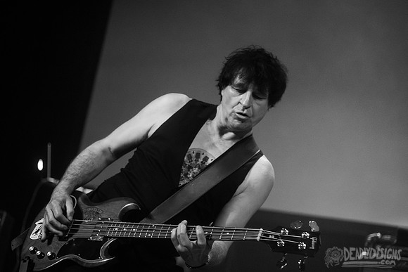 The Chameleons