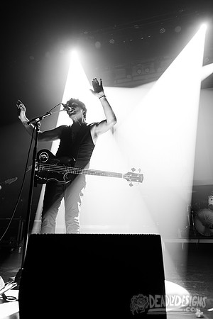 The Chameleons