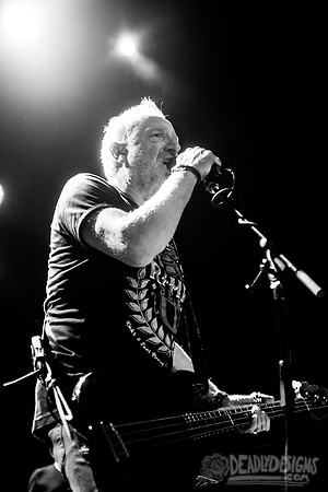 Peter Hook and the Light