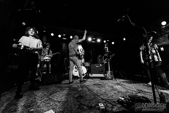 The New Pornographers