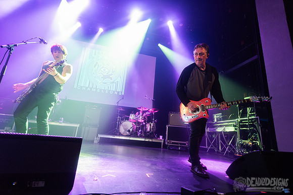 The Chameleons