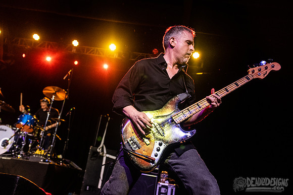 The Jesus Lizard