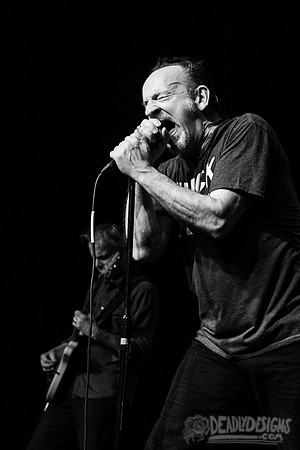 The Jesus Lizard