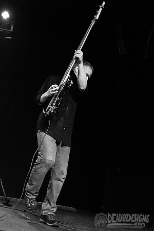 The Jesus Lizard