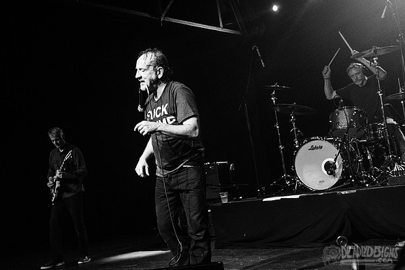 The Jesus Lizard