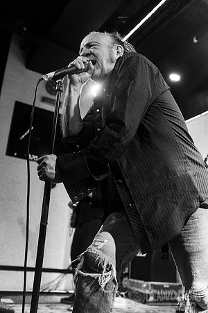The Jesus Lizard