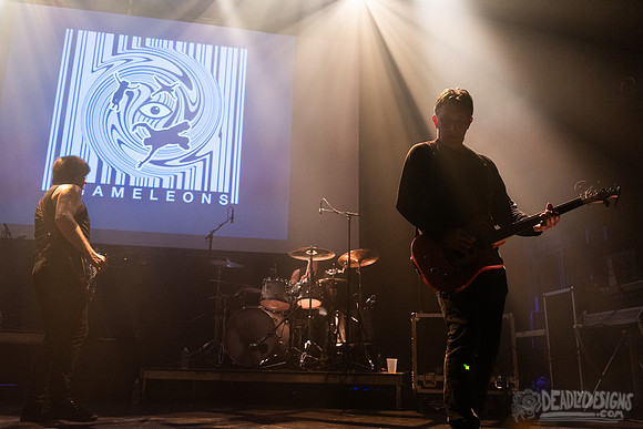 The Chameleons