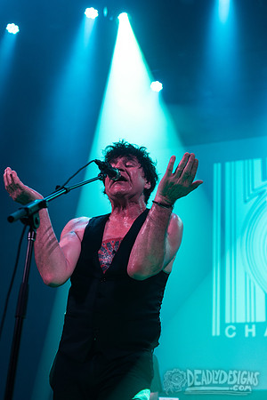 The Chameleons