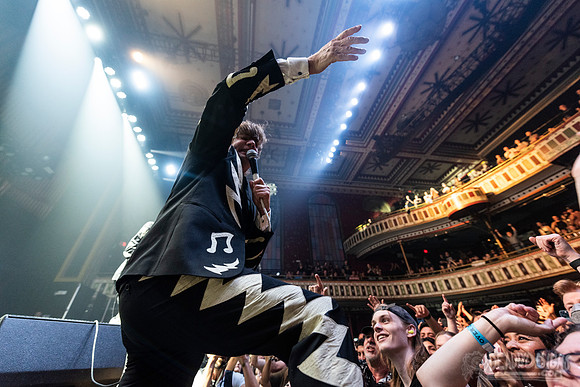 The Hives