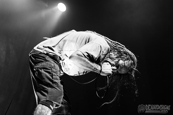 Lamb of God