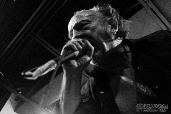 The Jesus Lizard