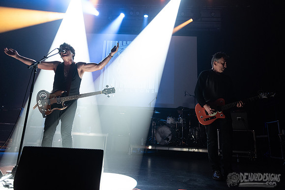 The Chameleons