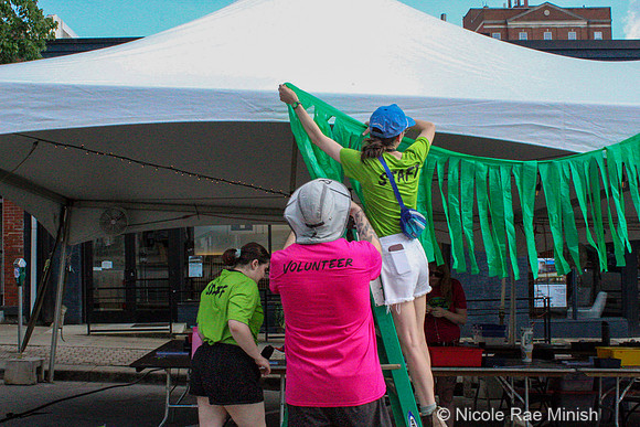 Merchandise & Volunteers (by Nicole Rae Minish)