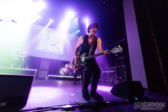 The Chameleons
