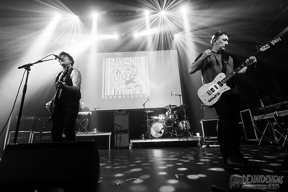 The Chameleons