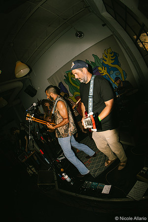 The Rishis (by Nicole Allario)